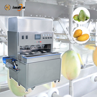 Automatische industriële mango-, avocado- en appelenschilmachine met hoge efficiëntie