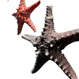 OEM/ODM Anpassen Großhandel Mikro landschaft der Simulation Aquarium Harz Korallen figur Kleine Seestern Conch
