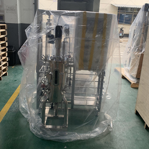 Airlift <strong>Fermenter</strong> <strong>Bioreactor</strong> Industrial Stainless Steel Pilot <strong>Bioreactor</strong> With Automatic Control System - Product Image 3