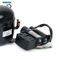 Compresseur hermétique à piston Aspera Embraco NT2180GK 115V/60Hz 1HP pour la réfrigération