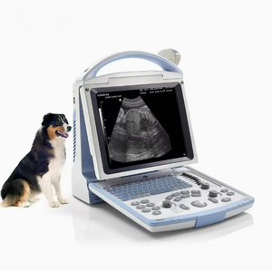 เครื่องอัลตราซาวนด์สัตว์พกพา Mindray DP‑10 VET ขาวดำ อุปกรณ์วินิจฉัยสัตว์ ได้รับมาตรฐาน CE ระดับ II รับประกัน 1 ปี - Product Image 5