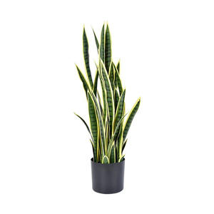 <span class=keywords><strong>Planta</strong></span> <span class=keywords><strong>Artificial</strong></span> Realista <span class=keywords><strong>de</strong></span> Plástico con Borde Amarillo, Sansevieria <span class=keywords><strong>Artificial</strong></span> sin Mantenimiento para Decoración <span class=keywords><strong>de</strong></span> Jardín y Paisaje - Product Image 5