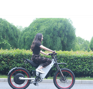 Factory hot sale stealth bomber electric off road bike mountain motorcycle - Product Image 5
