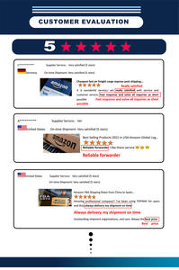 Z-Leading Logistics : Expédition de fret de projet complète Chine-Mexique, services LCL + Express, manutention de marchandises dangereuses, assurance - Product Image 5