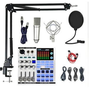 Professional Microphone &amp; Sound Card Kit for Karaoke Recording Live Streaming, Mic Stand Set with Audio <strong>Interface</strong> - Product Image 1