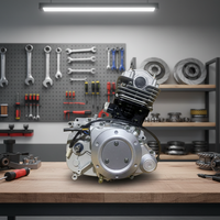 Ensemble moteur refroidi par air de haute qualité, neuf, électrique/à démarrage au pied, couleur argent, pour modèles de moto TVS HLX125