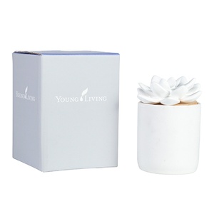 Luxury Boxes Custom Private Label Natural Scented Ceramic Flowers Diffuser