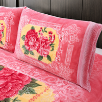Lot de 4 pièces de couvertures Raschel d'hiver en gros, ensemble de literie, couverture en peluche, drap plat, taies d'oreiller – En stock