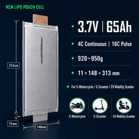 Baterai Sel Pouch Lithium Ion NMC 4C High Rate GBT 65 untuk Sepeda Listrik, E-Bike, Sepeda Motor, Golf Cart, Forklift, Drone
