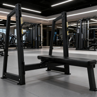 Rack de musculation plat en gros pour presse à dos, équipement de fitness commercial en acier, écologique, pour usage intérieur, sécurité et durabilité pour l'entraînement en salle de sport
