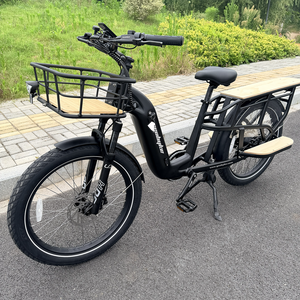 Vélo cargo électrique intelligent avec cadre en aluminium, écran LCD, moteur 250W, batterie 48V 15Ah, dérailleur, frein à disque hydraulique - Product Image 1
