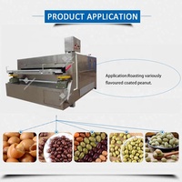 Machine de torréfaction de haricots d'arachide de vibration enduite bon marché de 100kg/heure