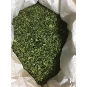 Moringa Dried Leaf Highly Curated Moringa Genuine Quality CHOLA SUPERFOODS Cost Effective CSF/MDLN/2022-2023