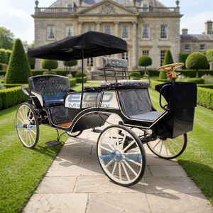 Calèche électrique vintage à quatre roues pour mariage royal, calèche de tourisme exclusive en promotion - Product Image 5