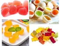 Nouveau système de fabrication de bonbons gélifiés axé sur la rentabilité avec automatisation en acier inoxydable, capacité de 300 kg/h pour un retour sur investissement rapide