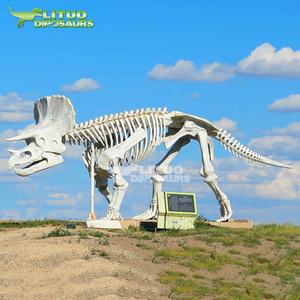 Modèles de squelette de dinosaure géant, images de géomparc, taille réaliste - Product Image 6