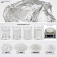 Silicate de sodium liquide de qualité industrielle (verre de soude) CAS 1344-09-8, haute pureté, résistant aux alcalis, adhésif, liant, réactifs