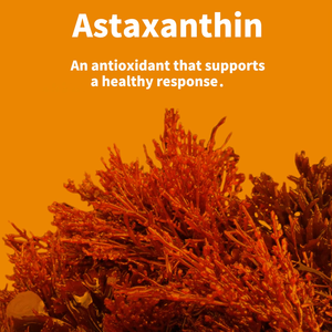 Factory Direct Coq10 Softgels with Extra Strength Astaxanthin Support for Heart Health Cognitive Health - Product Image 6