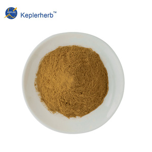 Estratto di Berberis 10:1 Radice di Berberis <span class=keywords><strong>San</strong></span> Ke Zhen TLC Alcaloide Naturale di Berberina Ingrediente Erboristico Materia Prima OEM - Product Image 2