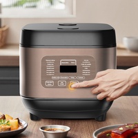 Cuisinière à riz multifonction électrique avec fonction de maintien au chaud, logo personnalisé
