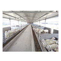 Usine de structures en acier hangar d'élevage d'animaux en acier préfabriqué à faible coût hangars d'élevage de chèvres conception étable à chèvres