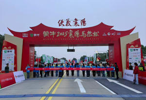 Alfombra de Temporización UHF Feibot de 3 Metros, Frecuencia Estadounidense, Conector RP-TNC - Product Image 6