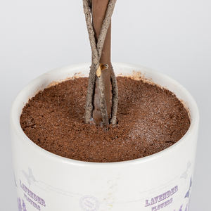 High Quality Oem Indoor Outdoor <b>Plastic</b> Face Pot Plants Artificial Small Lavender Ball Desktop Decoration Potted Plant Tree - Product Image 5