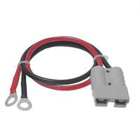 Connecteur de batterie pour chariot élévateur 50A 600V avec câble en silicone IP66 de 1m, boîtier en cuivre PC, mâle/femelle 2P