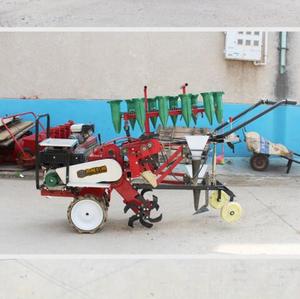 Planteur de <span class=keywords><strong>semis</strong></span> de légumes automoteur de rangées machine de plantation d'oignons pour machine agricole - Product Image 5