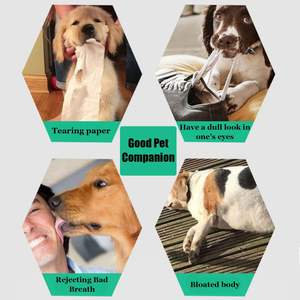 ของเล่นสุนัขแบบลอยน้ำ ทำจากโฟมนุ่ม ขนาด 9 ซม. เป็นมิตรต่อสิ่งแวดล้อม สำหรับฝึกและเล่น ขายส่ง ขั้นต่ำ 10 ชิ้น - Product Image 6