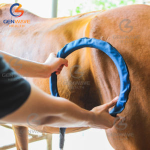 Máquina de terapia de caballos Máquina de animales Máquina de terapia magnética Pemf Loop Pemf Gauss Soporte para condiciones crónicas - Product Image 3
