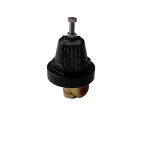 Vanne de régulation de pression en métal Manny 02250046-568 certifiée ISO9001, garantie 1 an, état neuf ou d'occasion, pour compresseur d'air industriel - Product Image 2