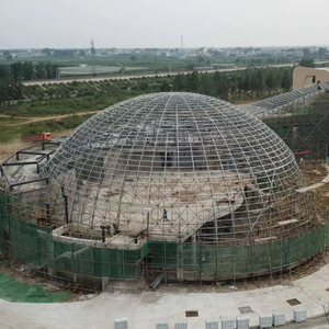 Thiết Kế Hiện Đại Thương Mại Xây Dựng Thép Không Gian Khung Mái Vòm Đúc Sẵn Ánh Sáng Xây Dựng Uốn Cắt Hàn Dịch Vụ - Product Image 2