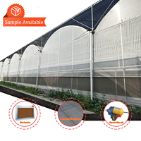Serre tunnel horticole monocouche en film PE de grande taille, économique, en promotion, pour la culture des baies et des tomates