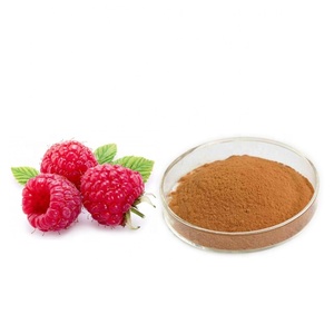 Extrait de framboise professionnel / Poudre de framboise / Cétones de framboise 99% - Product Image 1