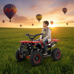 รถเอทีวีขนาดเล็ก Tao Motor CE 2 จังหวะ 50 ซีซี ระบบขับเคลื่อนด้วยโซ่ เกียร์อัตโนมัติ ใช้แก๊ส รุ่น Mini Hunter สำหรับเด็ก ขับขี่แบบออฟโรด - Product Image 1