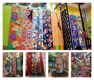 डिजाइन किए गए फाइबरग्लास रॉक क्लाइम्बिंग दीवार बच्चों और वयस्कों के लिए इनडोर खेल का मैदान - Product Image 6