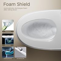 Intelligent Water Closet Smart Toilet Bowl Electric Bidet Toilet Commode Ceramic Fully Automatic Modern Smart Toilet