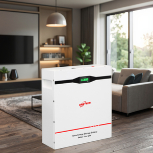 <span class=keywords><strong>Batteria</strong></span> da 2.5kwh 3kwh 5kwh 24v Energia Solare 25.6v 100ah 130ah 150ah 200ah <span class=keywords><strong>Batteria</strong></span> al Litio da Parete Lifepo4 Pack <span class=keywords><strong>24</strong></span> <span class=keywords><strong>Volt</strong></span> Power Wall - Product Image 1