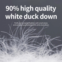 90% duvet de canard blanc de haute qualité doux blanc doudounes Logo personnalisé hiver chaud coréen unisexe mâle hommes duvet de canard veste