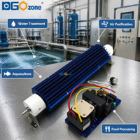 Ozoniseur 50g/h réglable avec module d'ozone amélioré pour la circulation de l'eau de refroidissement et l'optimisation des eaux usées