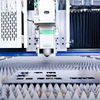 Máquina de corte de placa de acero láser de fibra CNC para hoja de metal CS SS AL