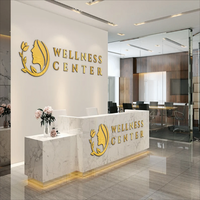 Letrero Metálico 3D de Acero Inoxidable Pintado en Oro, Diseño Moderno y Lujoso, Personalizado con Logotipo, IP65 Impermeable para Interiores de Empresas y Automóviles