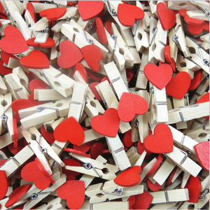 Personnalisé 20 pièces/sac pince à linge pince à linge en bambou naturel pince à tissu cheville tissu utiliser papier fleur utilisation - Product Image 4