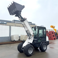 Leistungsstarker 4x4 Kleiner Radlader für Landschaftsbau, Forstwirtschaft, Geländearbeiten, Kommunaltechnik, Mini-Teleskoplader