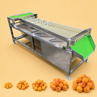Automatische fruit- en groentesorteermachine voor uien, mangosteen, bosbessen, avocado's, dadels en tomaten voor de landbouw
