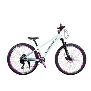 Bicicletta da Montagna Senidas a 8 Velocità, Telaio in Acciaio da 26 Pollici, Freno a Disco, Forcella per Dirt <span class=keywords><strong>Jump</strong></span>, MTB per Discese, Prodotta in Cina - Product Image 2