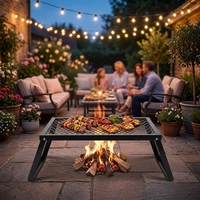 Grilles de cuisson pliables 19 pouces pour barbecue, idéales pour le camping, les pique-niques et le jardin – Approvisionnement direct usine
