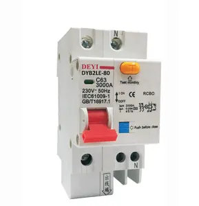 OEM High Breaking DYB2LE-80 Miniature Circuit Breaker MCB Voltage Protectors Electric