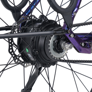 จักรยานไฟฟ้า <span class=keywords><strong>C60</strong></span> Ebike มอเตอร์ไร้แปรงถ่าน BAFANG พร้อมเซ็นเซอร์แรงบิด ระบบขับเคลื่อนด้วยสายพาน โครงสร้างอะลูมิเนียมอัลลอยด์ 3 สปีด สำหรับผู้หญิงและผู้ชาย - Product Image 3